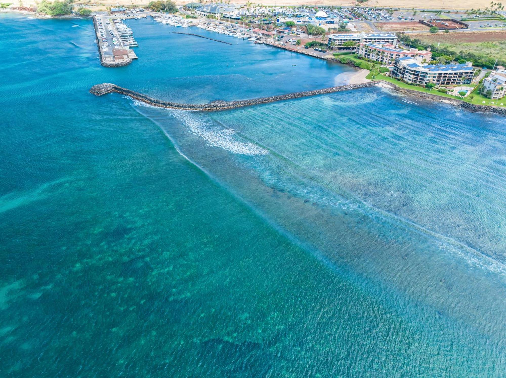 106 Milowai Wailuku Exteriör bild